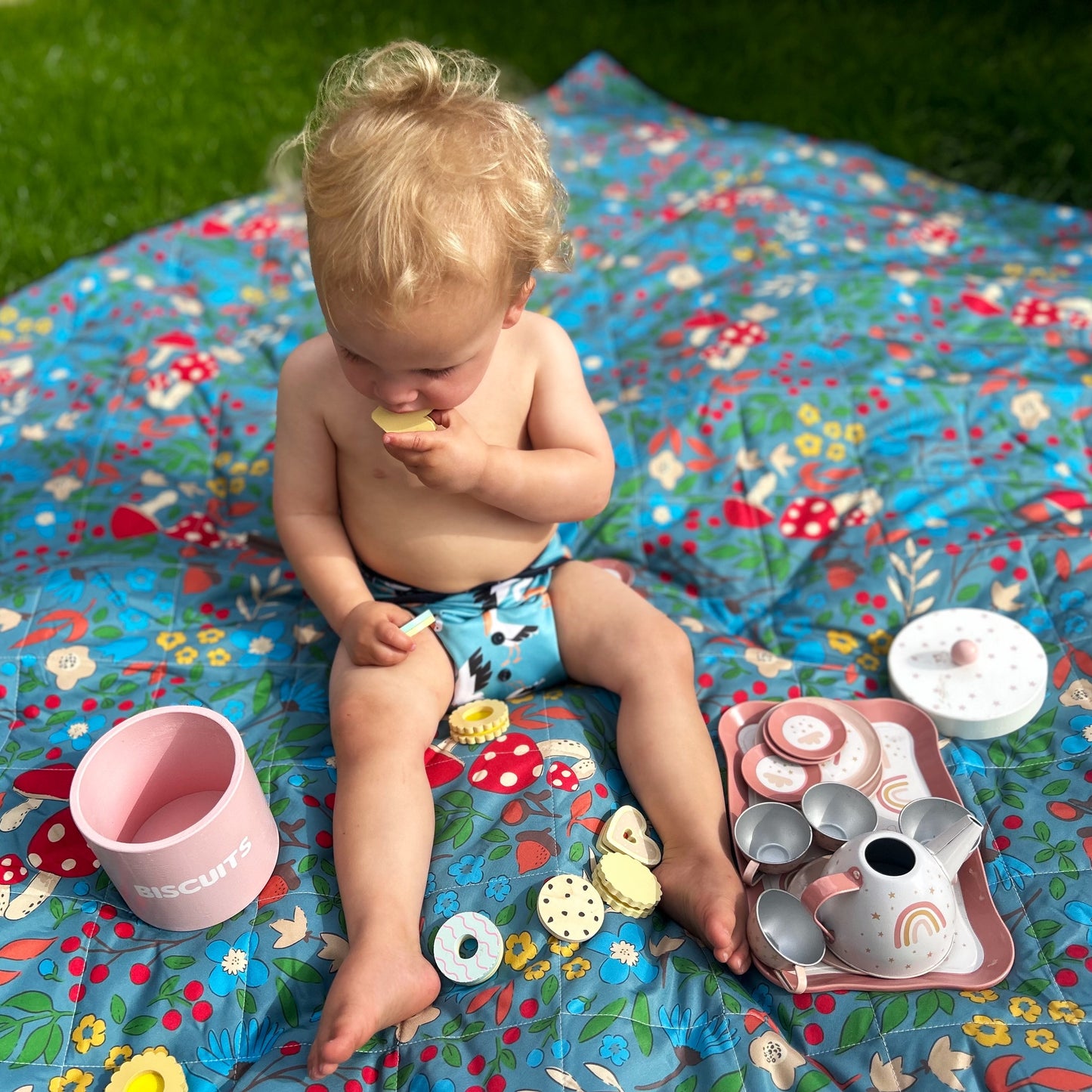 Picnic Mat
