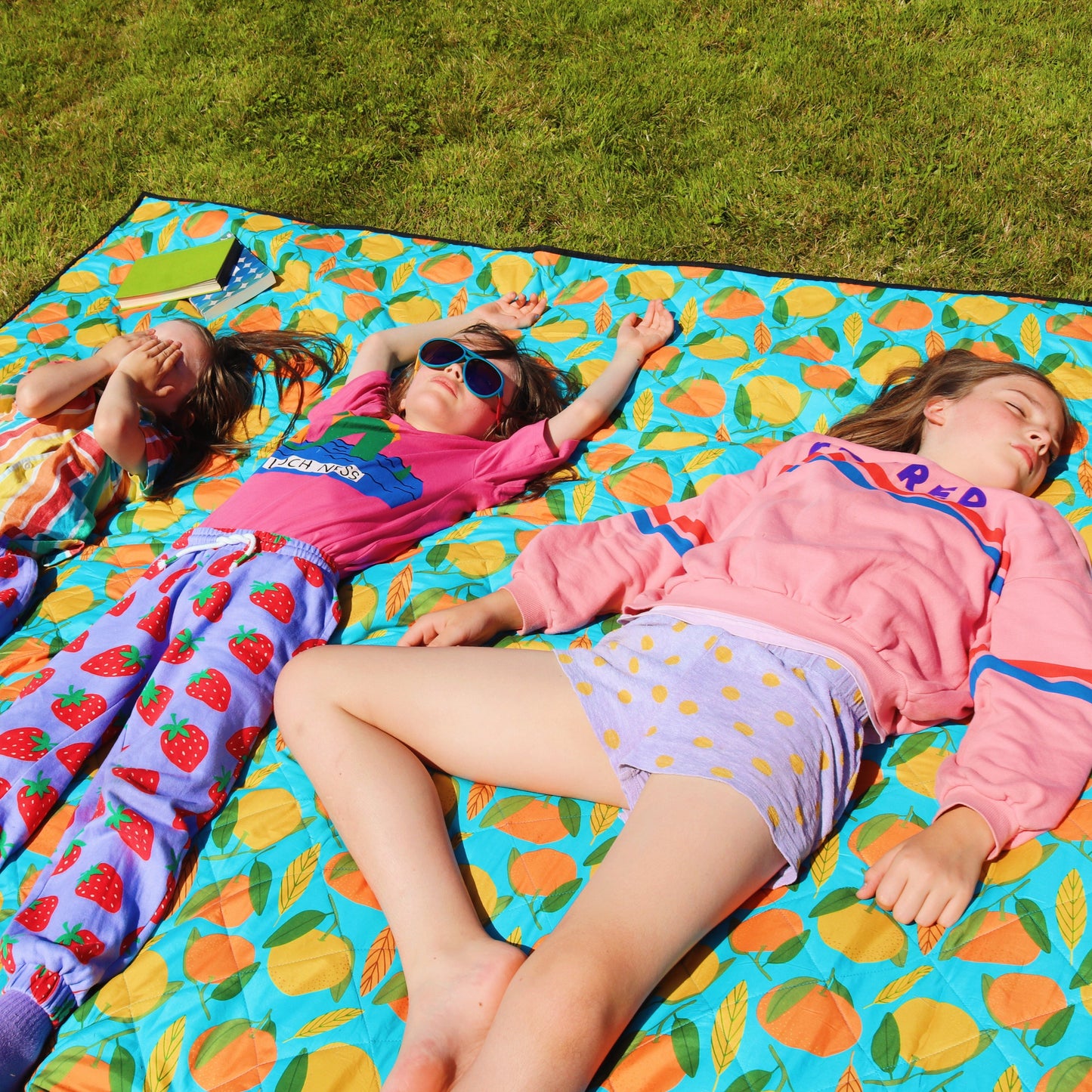 Picnic Mat