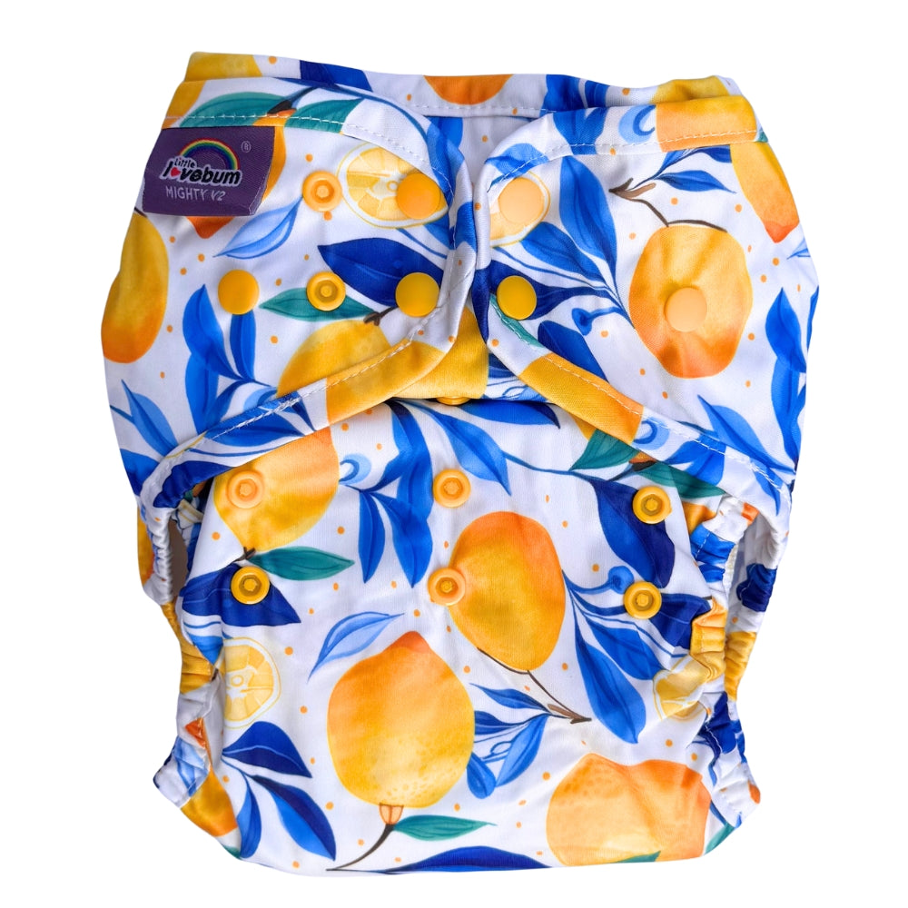 Mighty Max All-in-One Reusable Nappy