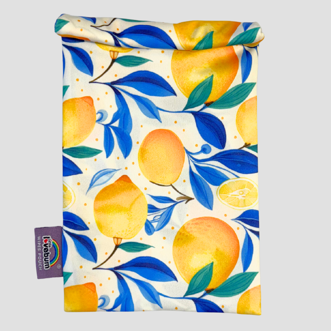 Wipes Pouch