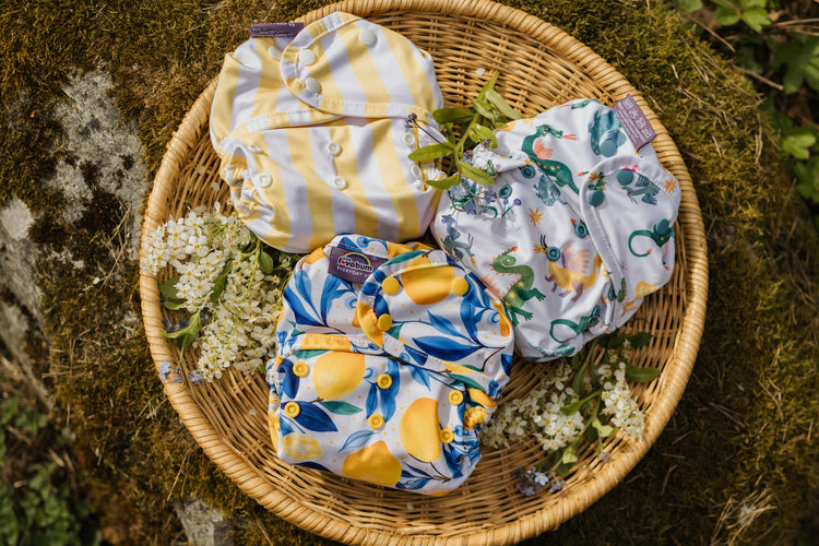 Bundles and Kits