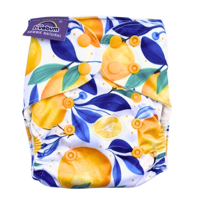 Newbie Natural Organic Cotton All-in-One Newborn Reusable Nappy