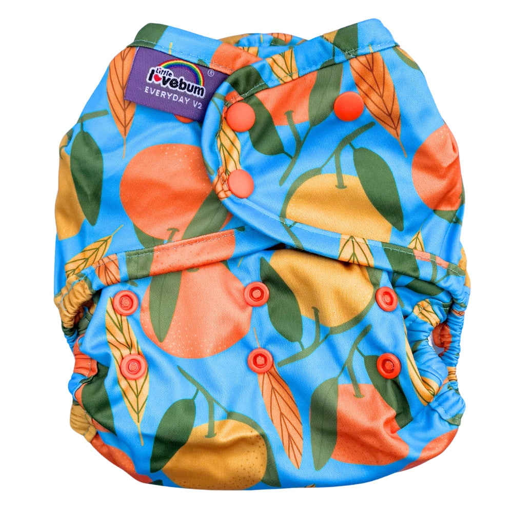 Everyday V2 Hemp and Bamboo All-in-One Reusable Cloth Nappy