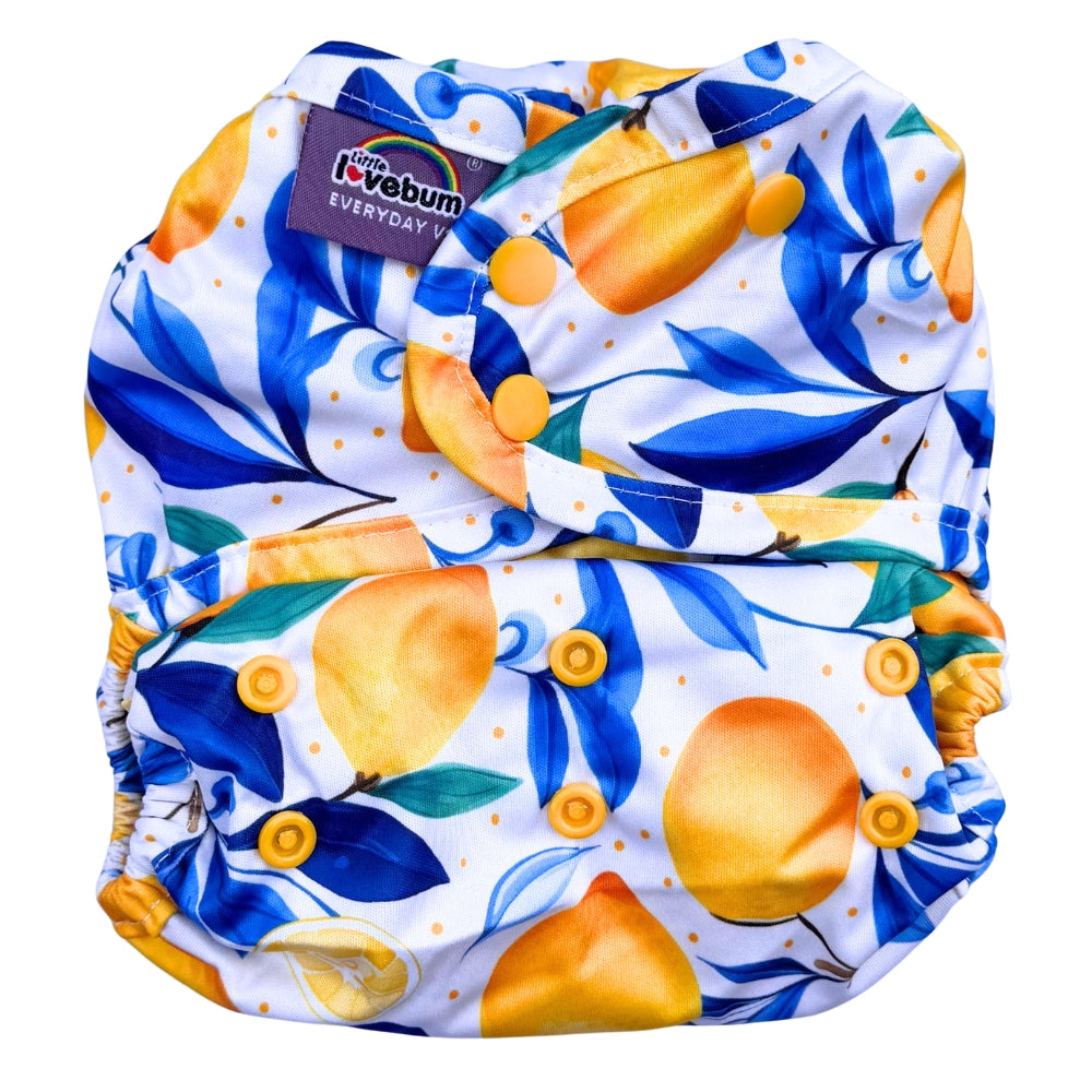 Everyday V2 Hemp and Bamboo All-in-One Reusable Cloth Nappy