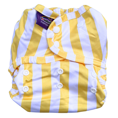 Everyday V2 Hemp and Bamboo All-in-One Reusable Cloth Nappy