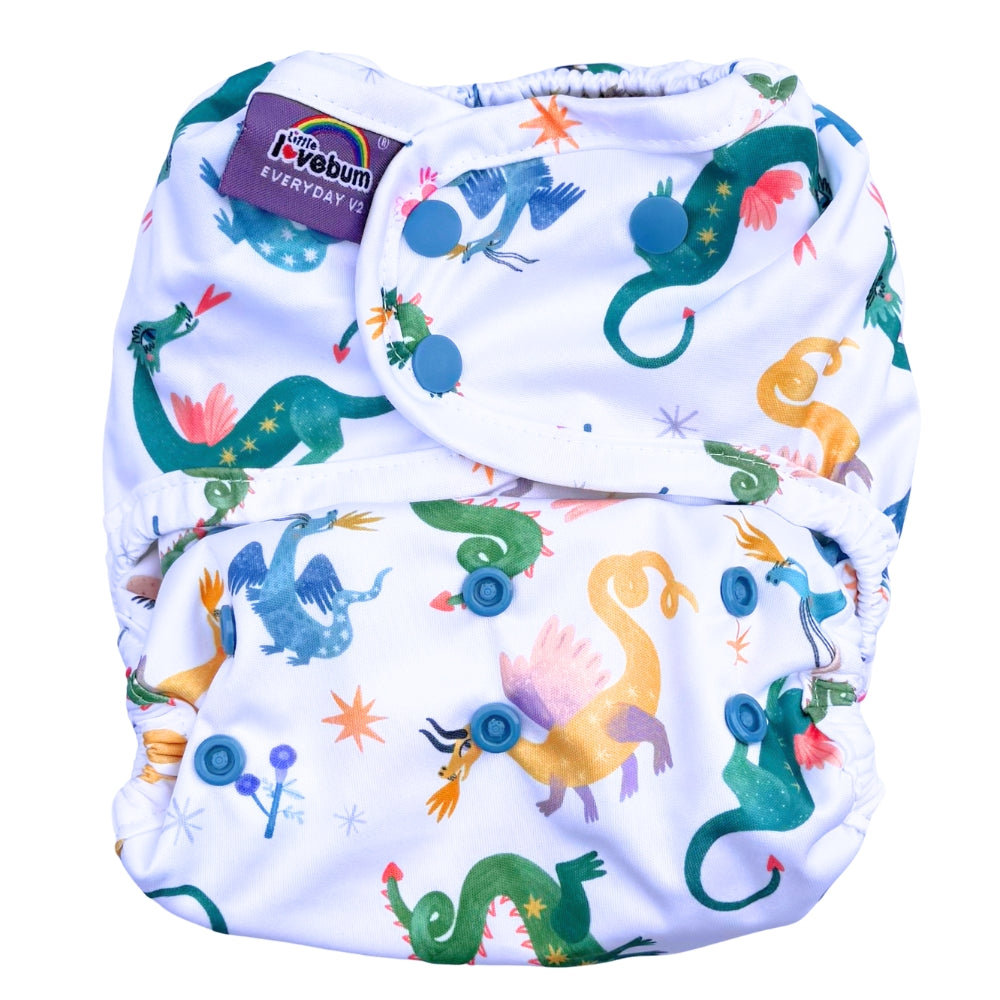 Everyday V2 Hemp and Bamboo All-in-One Reusable Cloth Nappy