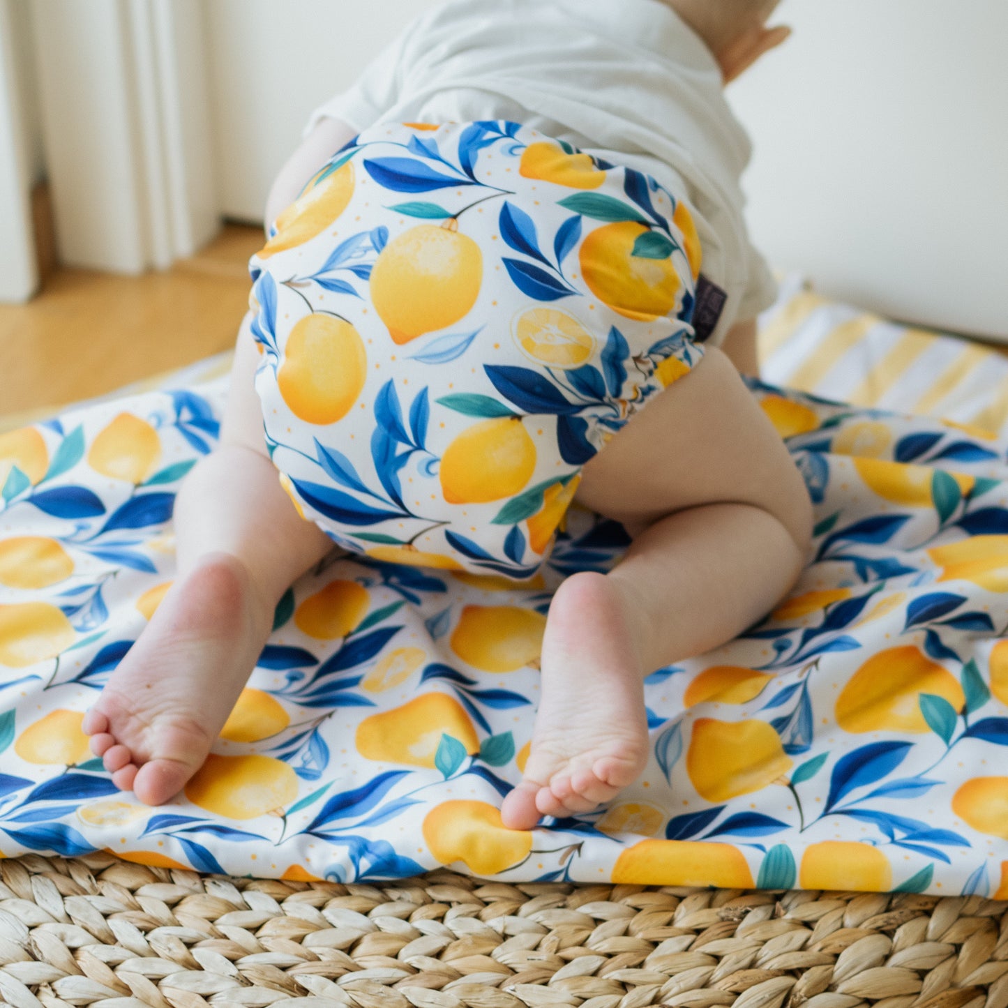 Everyday V2 Hemp and Bamboo All-in-One Reusable Cloth Nappy
