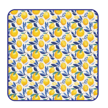 Picnic Mat