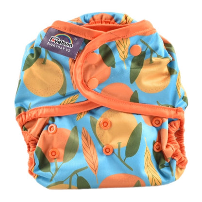 Everyday V2 Hemp and Bamboo All-in-One Reusable Cloth Nappy