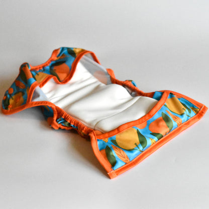 Snap & Wrap Max Cloth Nappy Cover